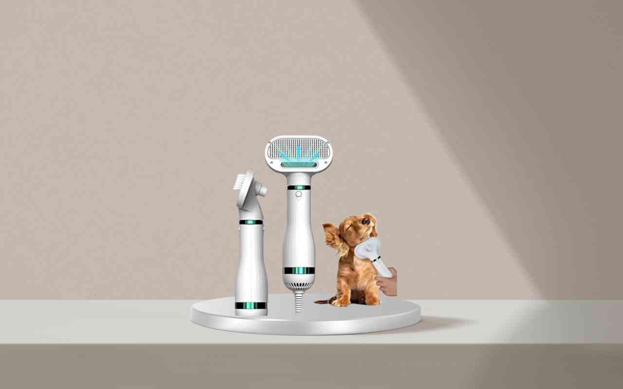 Addestra il tuo cane o gatto senza stress con Nice Pet: scopri il metodo innovativo