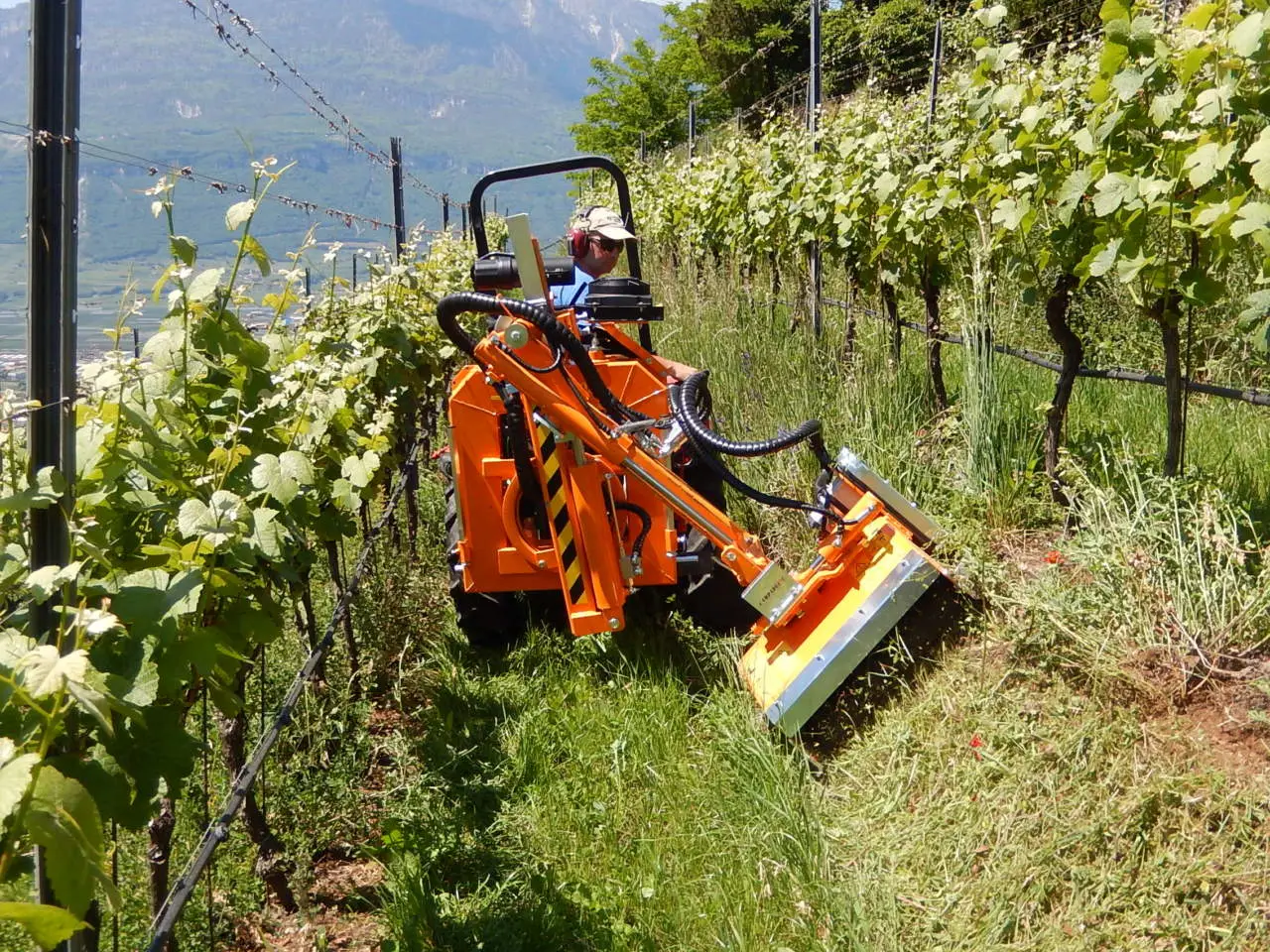 Quanti di questi attrezzi agricoli antichi conosci?